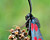 Photographie référence: n°2113 <br> Publication en droits gérés <br> Veuillez lire les informations générales et me contacter pour plus d'informations