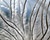 Photographie référence: n°2413 <br> Publication en droits gérés <br> Veuillez lire les informations générales et me contacter pour plus d'informations