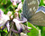 Photographie référence: n°3507 <br> Publication en droits gérés <br> Veuillez lire les informations générales et me contacter pour plus d'informations