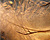 Photographie référence: n°4501 <br> Publication en droits gérés <br> Veuillez lire les informations générales et me contacter pour plus d'informations